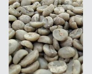 Arabica Coffee