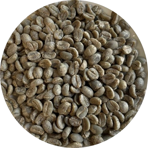 arabicaa