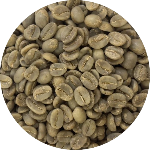 arabicaa