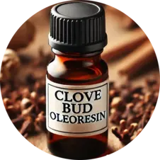 clove