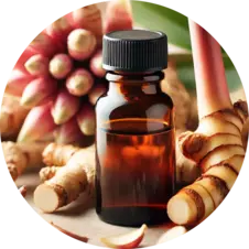 galangal