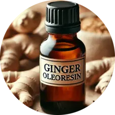 ginger