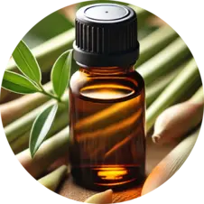 Cardamom