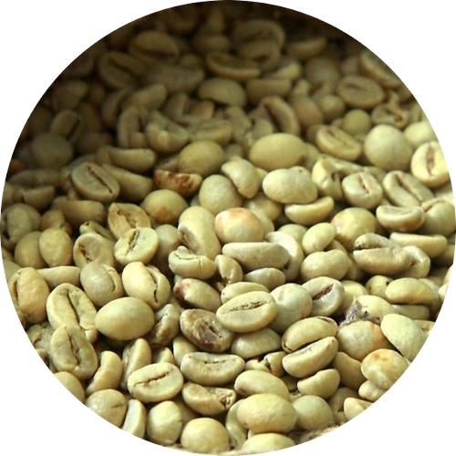 kappi