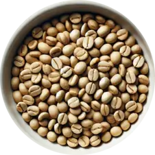 monssonaa