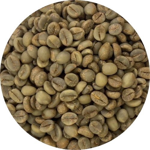 parchmenta