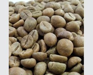 Robusta Coffee